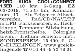 Vorschaubild der Anzeige, (Id: 1958792)