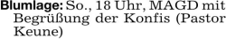 Vorschaubild der Anzeige, (Id: 1972711)