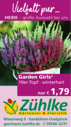Vorschaubild der Anzeige, (Id: 1976741)