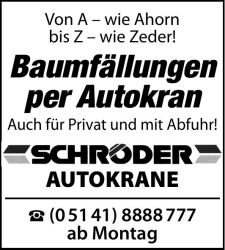 Vorschaubild der Anzeige, (Id: 1989643)