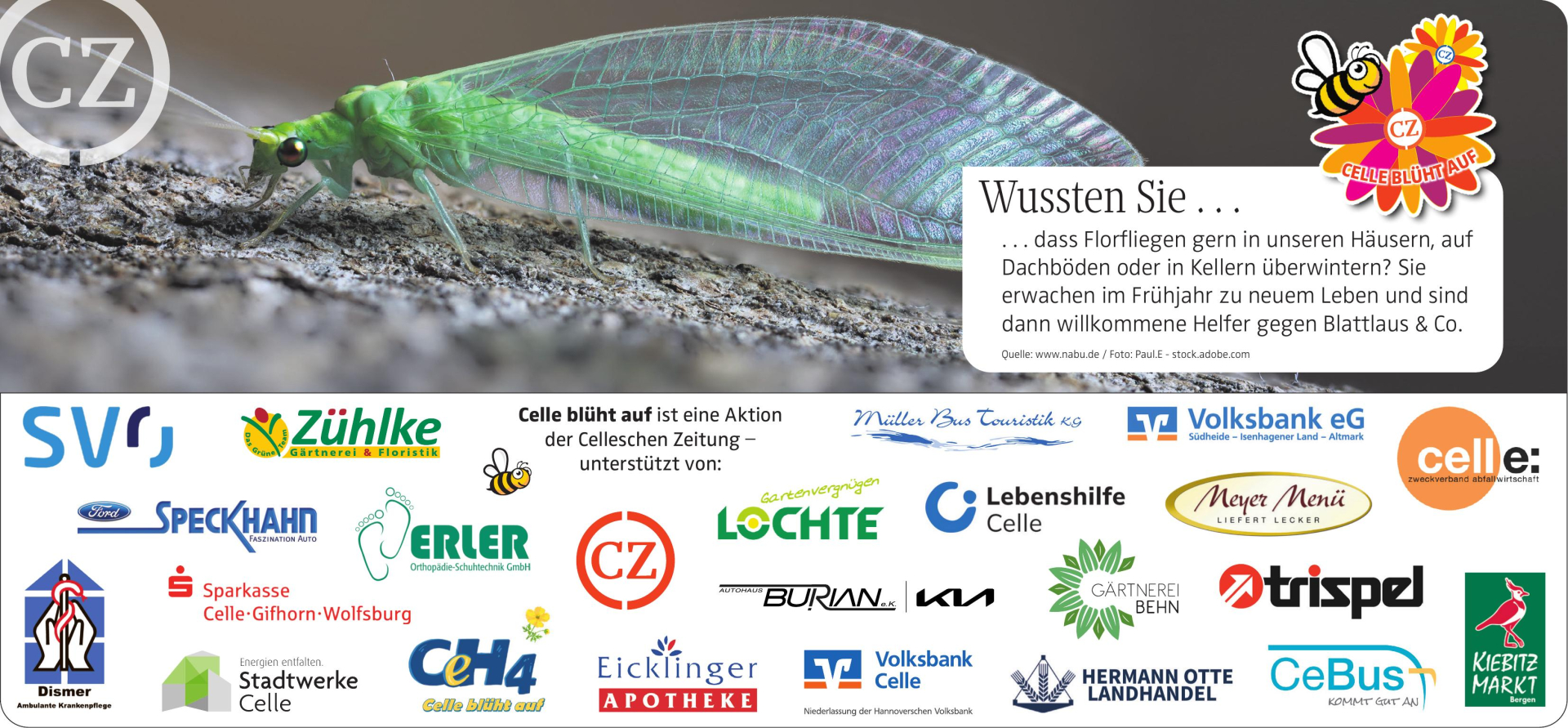 Vorschaubild der Anzeige, (Id: 2000444)