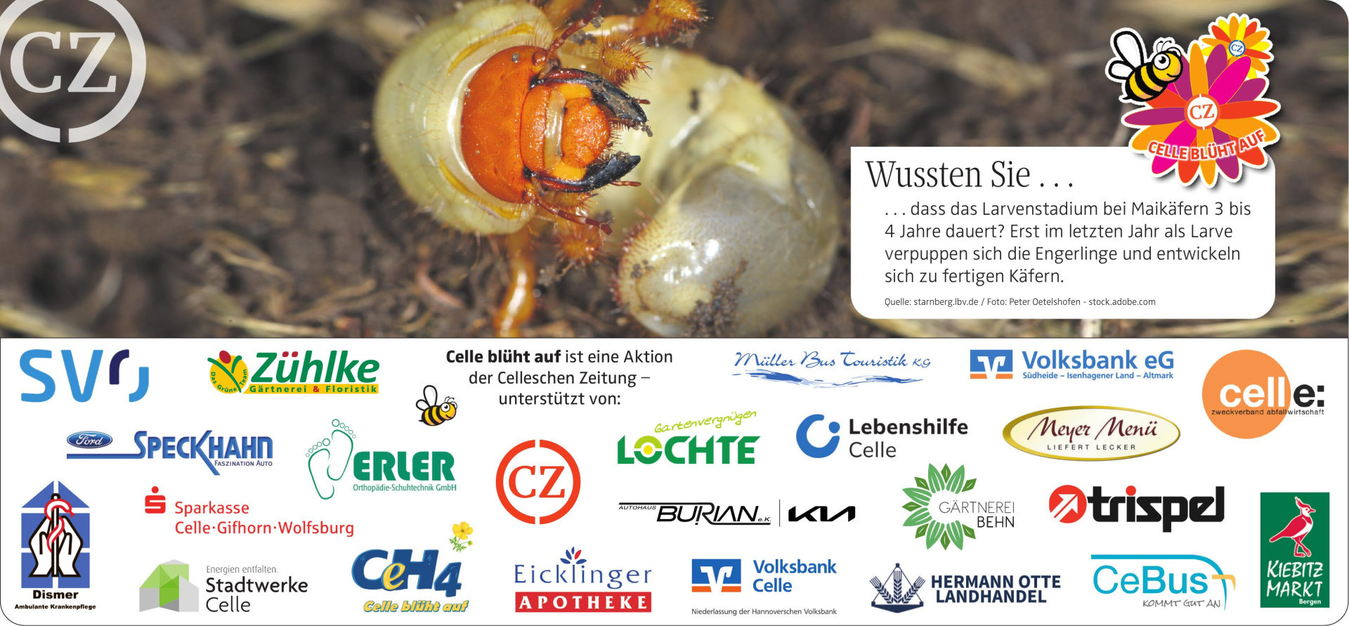 Vorschaubild der Anzeige, (Id: 2017491)