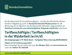 Vorschaubild der Anzeige, (Id: 1984414)