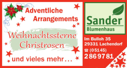 Vorschaubild der Anzeige, (Id: 2000049)