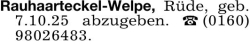 Vorschaubild der Anzeige, (Id: 2003862)