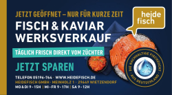 Vorschaubild der Anzeige, (Id: 2010756)