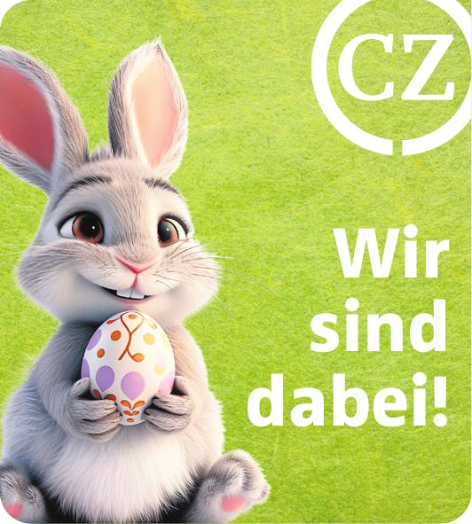 Vorschaubild der Anzeige, (Id: 2025230)