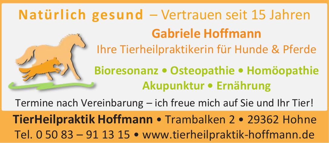 Vorschaubild der Anzeige, (Id: 2032957)