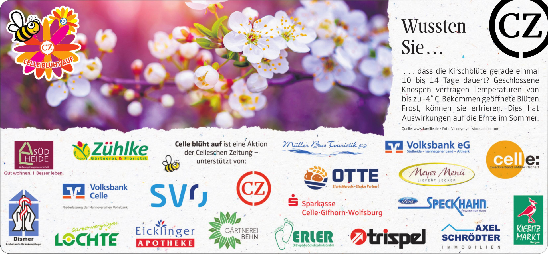 Vorschaubild der Anzeige, (Id: 2030497)