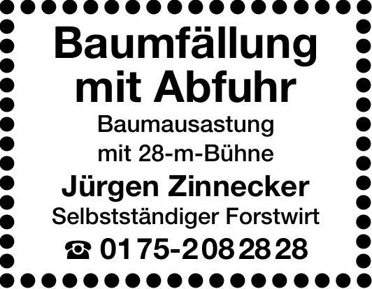 Vorschaubild der Anzeige, (Id: 2034443)