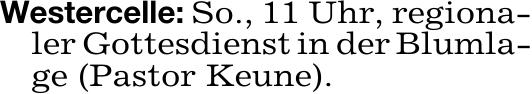 Vorschaubild der Anzeige, (Id: 2040278)
