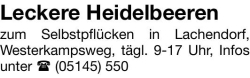Vorschaubild der Anzeige, (Id: 2056591)