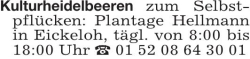 Vorschaubild der Anzeige, (Id: 2058153)