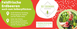 Vorschaubild der Anzeige, (Id: 2056619)