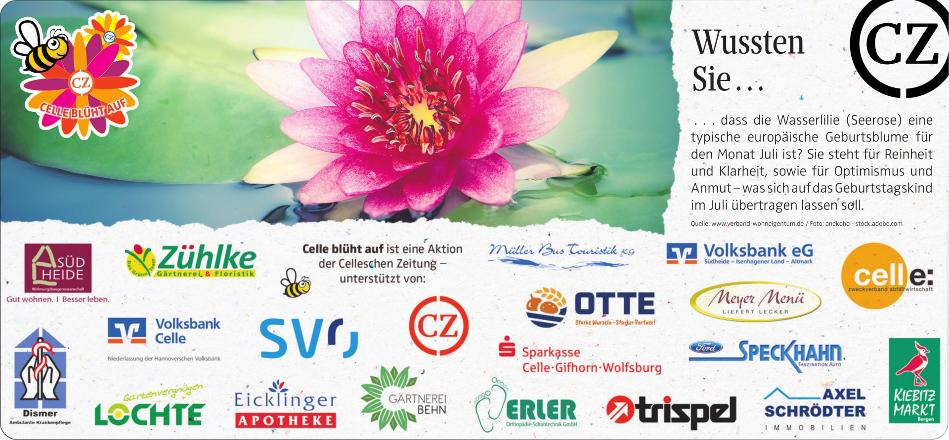 Vorschaubild der Anzeige, (Id: 2061543)