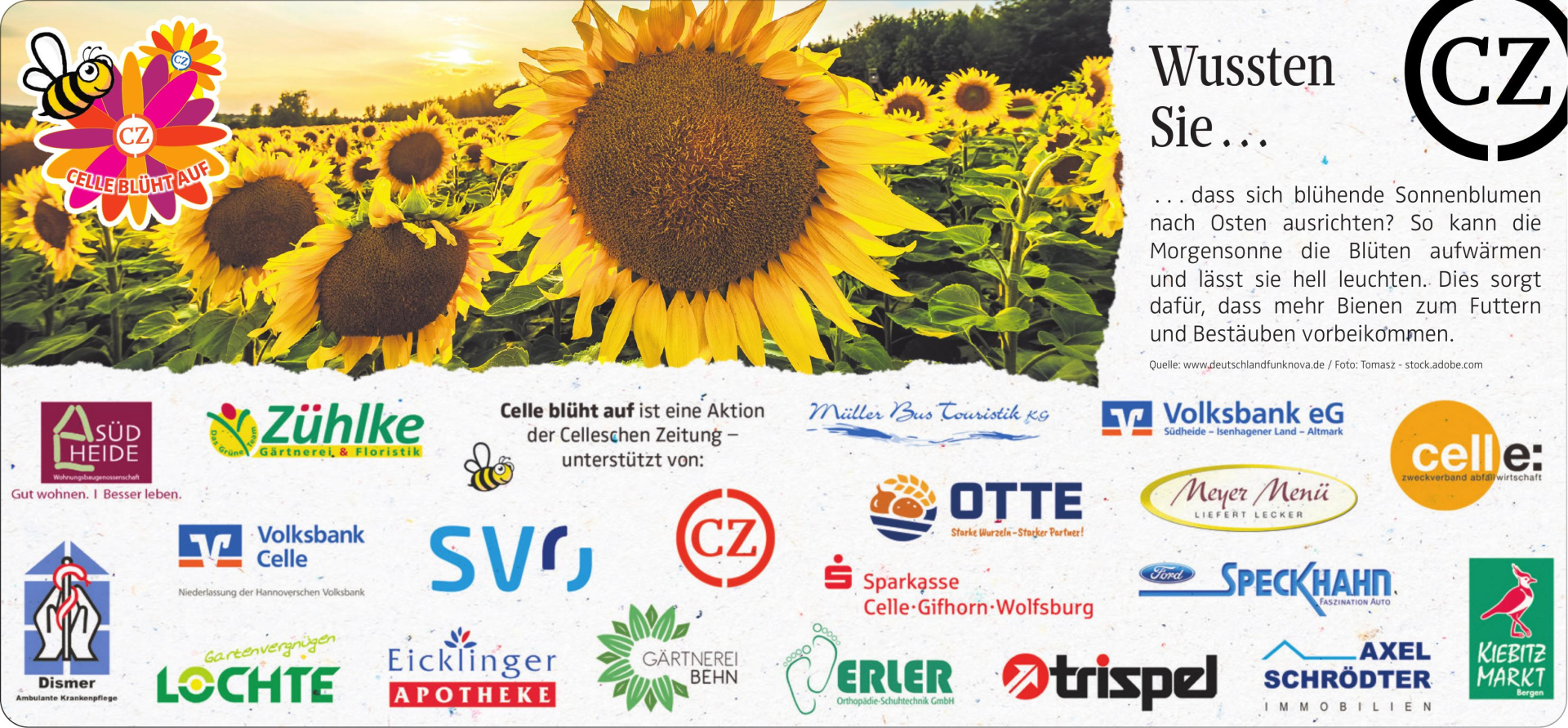 Vorschaubild der Anzeige, (Id: 2070053)
