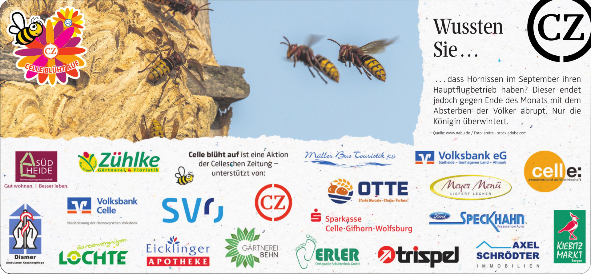 Vorschaubild der Anzeige, (Id: 2077077)