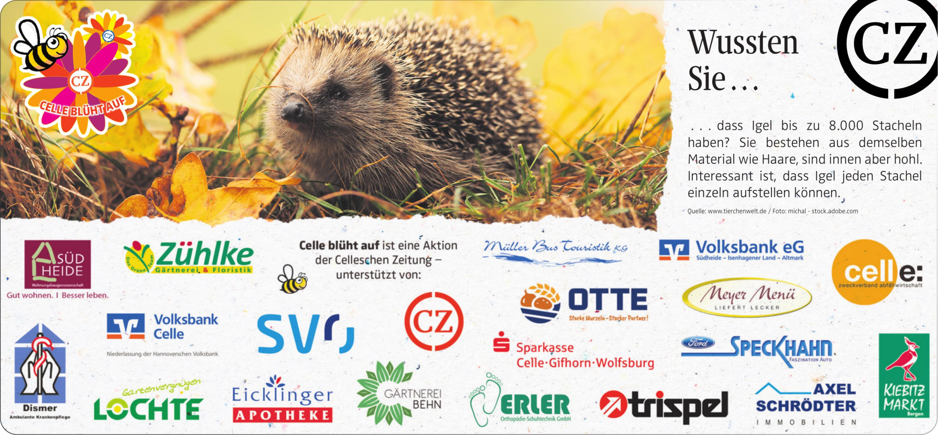 Vorschaubild der Anzeige, (Id: 2085119)