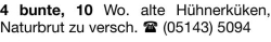 Vorschaubild der Anzeige, (Id: 2069781)
