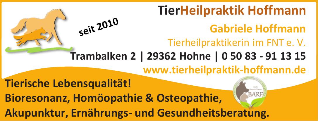 Vorschaubild der Anzeige, (Id: 2073600)