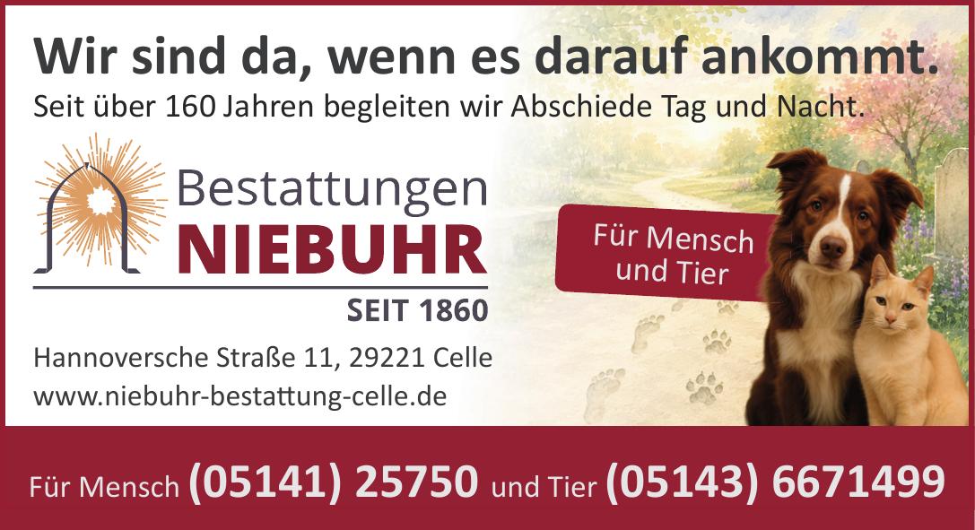 Vorschaubild der Anzeige, (Id: 2074818)