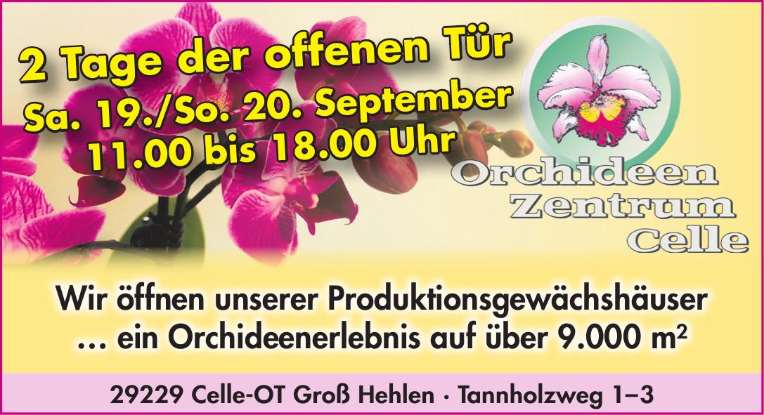Vorschaubild der Anzeige, (Id: 2075172)