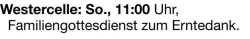 Vorschaubild der Anzeige, (Id: 2080649)