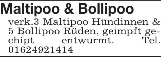 Vorschaubild der Anzeige, (Id: 2085724)